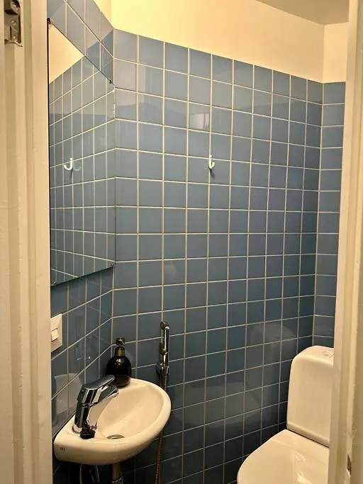 Boutique Studio In The City Helsinki 0*,